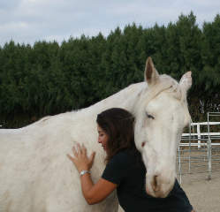 Equine Assisted Psychotherapy (EAP)